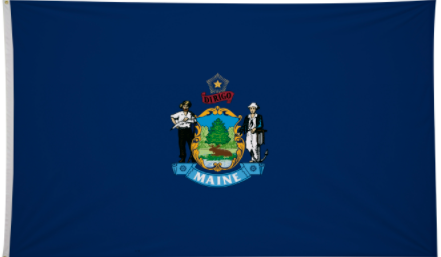 6' x 10' State Flag