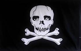 Jolly Roger Pirate Flag Nylon